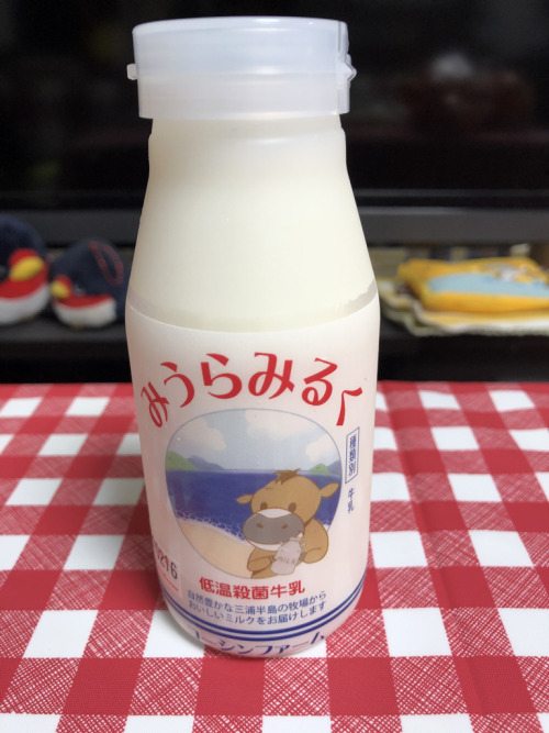 Got a small cold bottle of milk from Miura area, a a city located here in Kanagawa Prefecture - I di