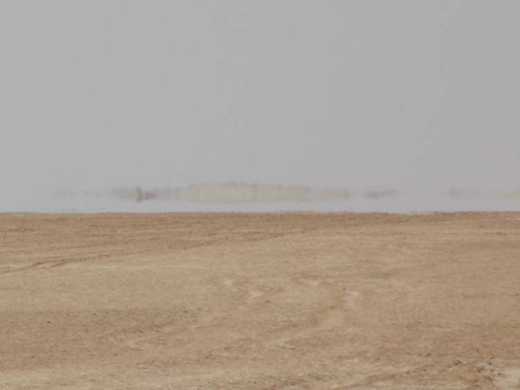 likeafieldmouse:  Brendan Austin - Mirage (2012)
