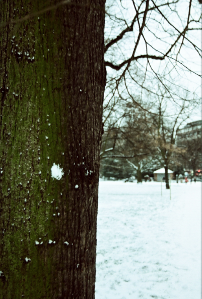photosbysoph - Halcyon Progression