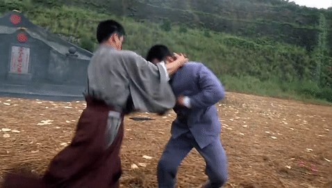 Fist Of Legend (1994)