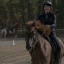 adventuresofghosthorsestillborn
