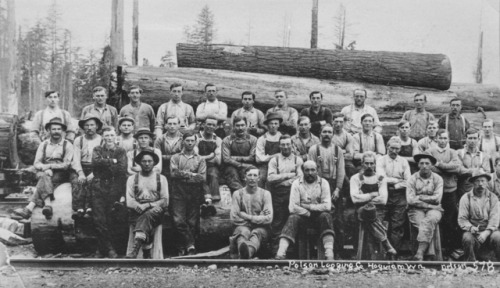 Polson Forestry Company workers (USA, 1910s/1920s).  Most of them are Nordic.