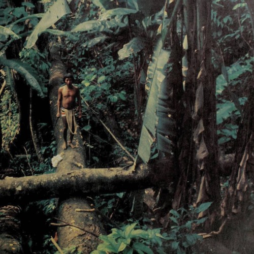 equatorjournal:Edward S. Ayensu, Kayapó Indian, 1978. From “Jungles”, 1979.https://www.instagram.com