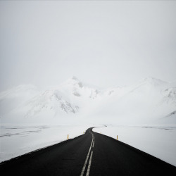 nevver:  All roads lead to nowhere, Andy Lee