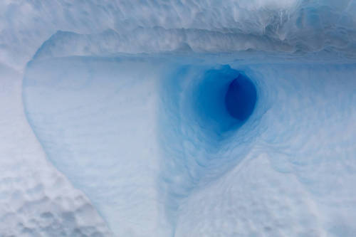 stormypetrichor: landscape-photo-graphy:  Majestic Photographs Of Antarctic Glaciers By Julieanne Kost Photographer Julieanne Kost has captured the majestic and seldom seen beauty of Antarctica in an expedition to the frozen continent.  Keep reading