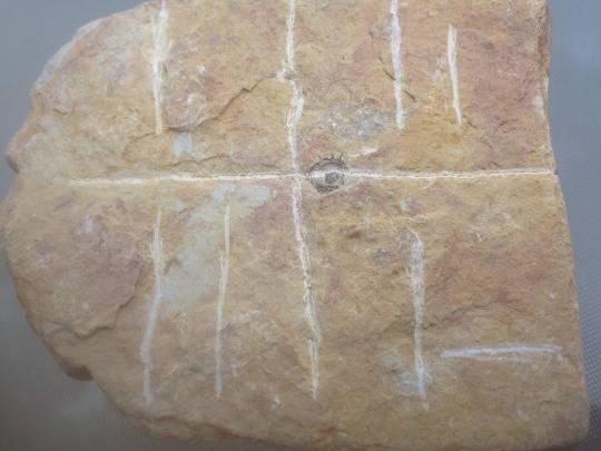 ofthefog:  writing-prompt-s: Scientists uncover a stone with writing on it that no one can make sense of. When you see it for the first time, you can read it perfectly. 