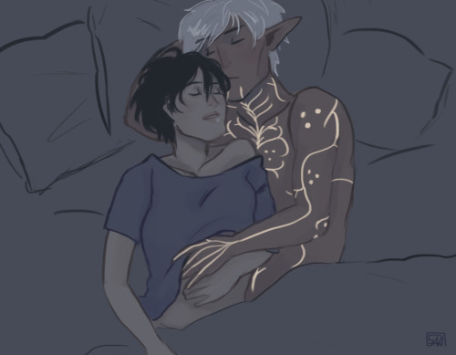 ouroridae:Snooze with tiny Hawke