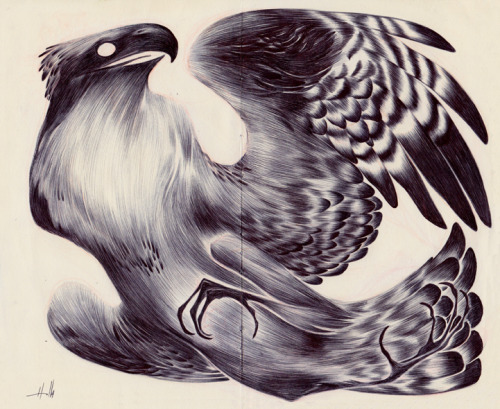 nataliehall:  Another commission down. This time an osprey!  