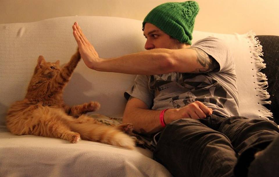 catsbeaversandducks:  “All you need is love… and a cat.” Photos via Real Men