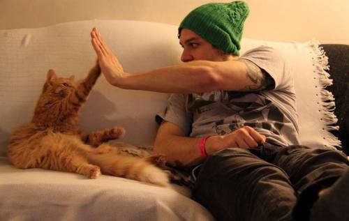 catsbeaversandducks:  “All you need is love… and a cat.” Photos via Real Men Love Cats