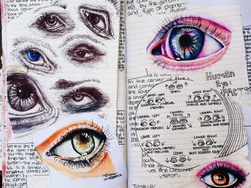 XXX assified:  notebook entry: eye page. for photo