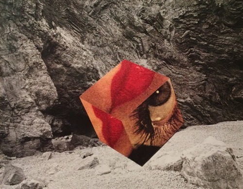 oliviadescampecollages: “Identity” Handmade collage on paper