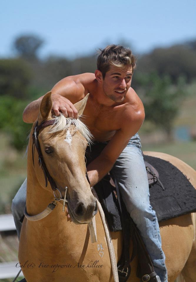 equine-hourglass:  Can I have them. Please. Source 