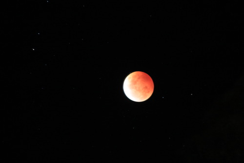 paranoidoptimist:  Blood Moon (Lunar Eclipse)Photo’s I took at aprox 10:15pm EST 8/10/2014 