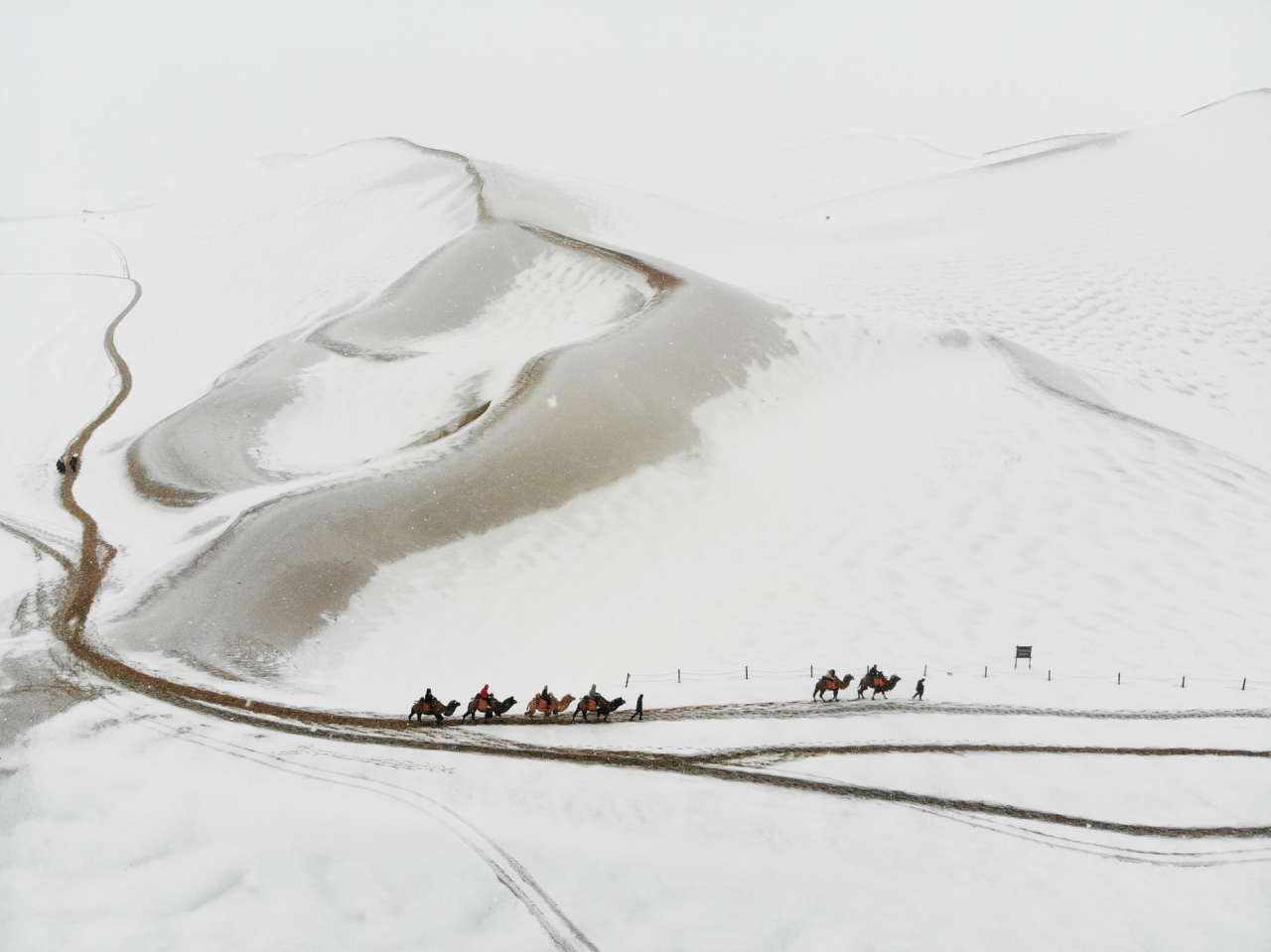 flashofgod:Yang Yanmin, Travellers ride camels on Mingsha mountain after heavy snowfall,