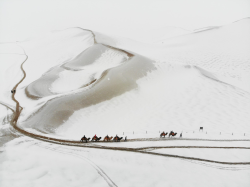 flashofgod:Yang Yanmin, Travellers ride camels on Mingsha mountain after heavy snowfall, Dunhuang, China, 2018.