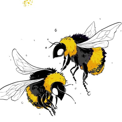 Thinking about spring ❤️ #bumblebees #Hummeln #bees #digitalillustration https://www.instagram.com/p