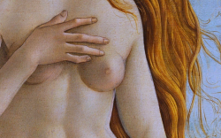 leuc:  Sandro Botticelli, The Birth of Venus