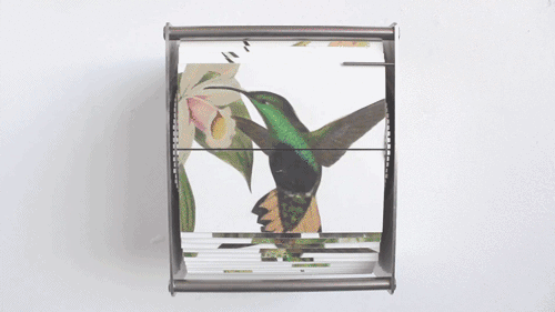 lvndcity:  Juan Fontanive