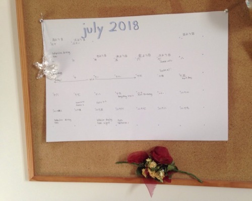 Finally finished my July calendar, halfway through July hahaha Spot the dying corsage from formal wh