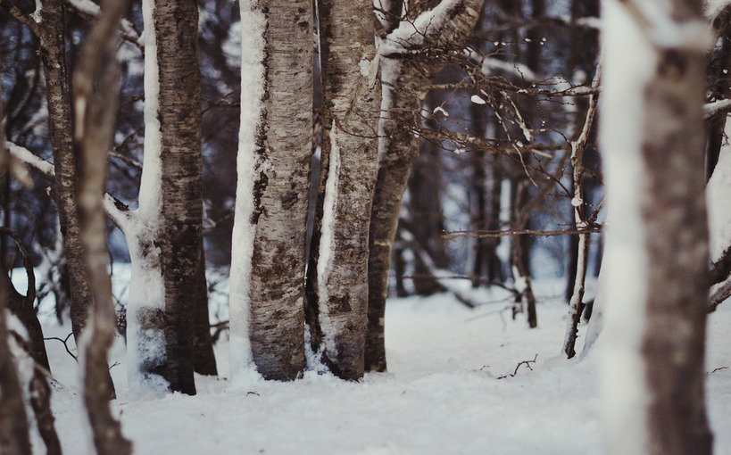 natureac:  This blog will make you feel at peace 