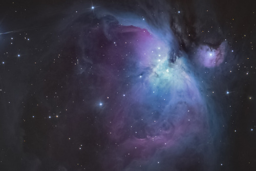 brianfulda: The Orion Nebula, taken through adult photos