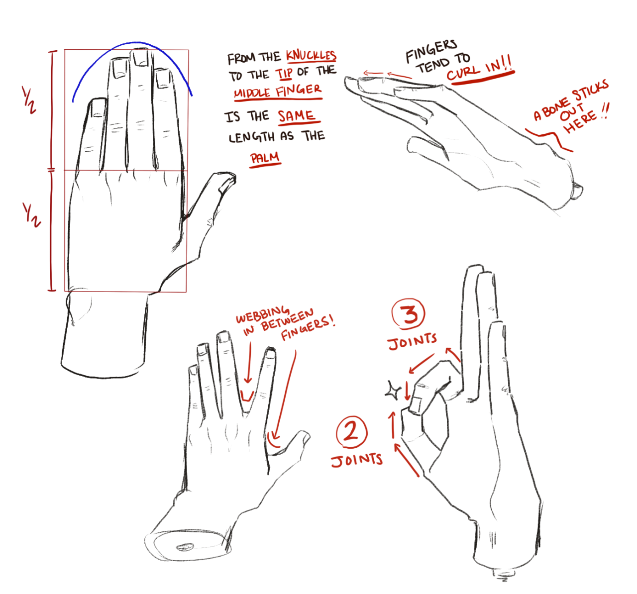 Scotty Comics : seirui: i actually really love drawing hands and...