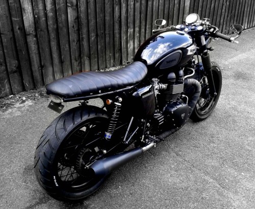 cafuneus:  Triumph 