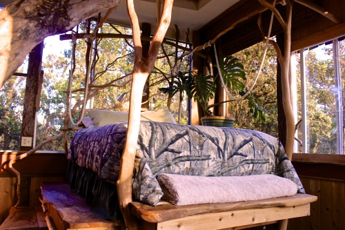 ffsry:  hybrid-machine:  lilysprettysillylife:  http://www.volcanotreehouse.net  Oh my this was a house created with love. Very inspirational for one of my own, one day :)  i want this to be my home some day
