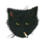 thestrokess