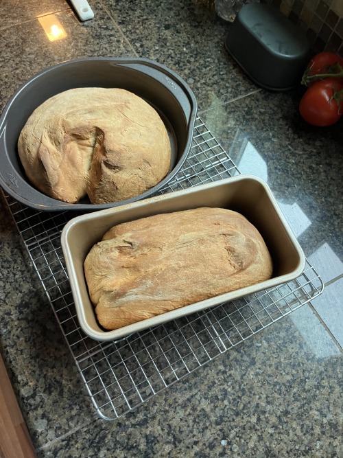 Nvm You Get A Whole Loaf As A Reward. Pick One