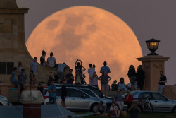 atlanticinfocus:  From Supermoon 2016, one of 21 photos. Super photos of a remarkable perigee-syzygy of the Earth-Moon-Sun system. Crowds look on as the supermoon rises behind the Fremantle War Memorial at Monument Hill on November 14, 2016 in Fremantle,