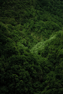 givncvrlos:  Green 