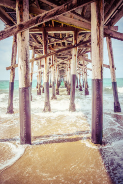 foresity:  Under the Pier in Southern California