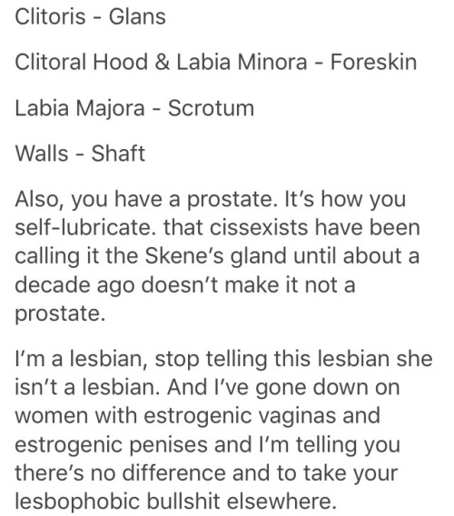 thefemaleresistance: never-obey: witwitch: officiallesbians: dormersboobs: seasaluki: dormersboobs: 