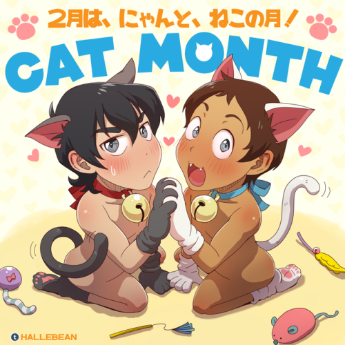 In Japan, February Is Cat Month