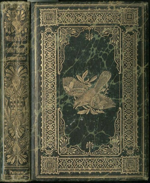 librarycompany:  The incredible decoration on our copy of C.W. Webber’s Wild Scenes and Song-B