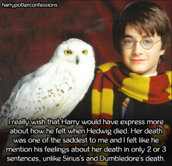 harrypotterconfessions:  I really wish that Harry would have express more about how he felt when Hedwig died. Her death was one of the saddest to me and I felt like he mention his feelings about her death in only 2 or 3 sentences, unlike Sirius’s and