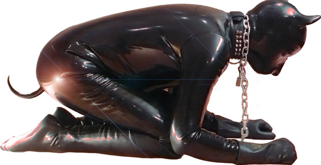bikerdawgca:  rubbermadness:  I can be a good dog  I want to be a good dog   I wanna