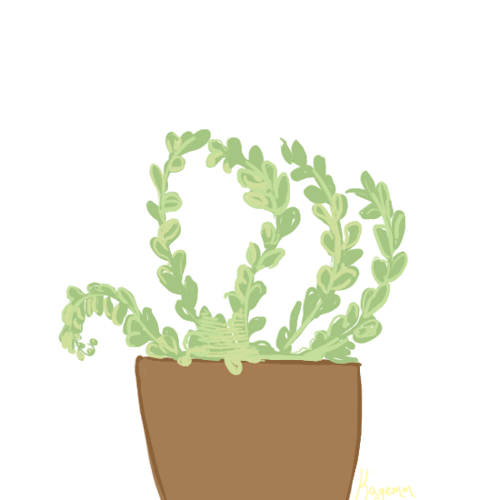 kagemm:lil dancing plants
