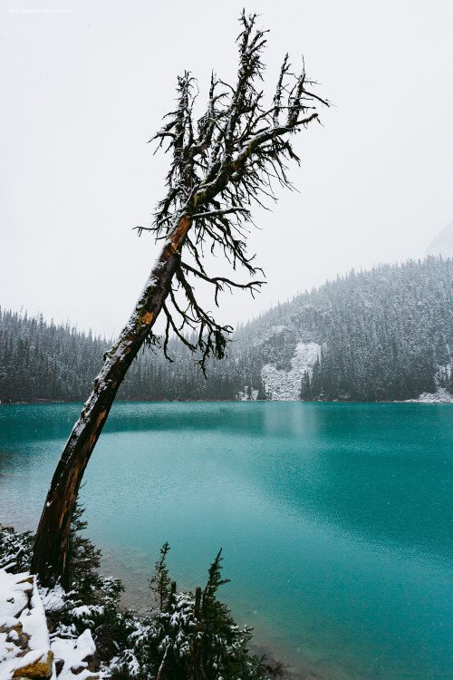 Middle Lake, Joffre Lakes, BC, Canada