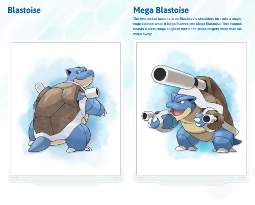 therandominmyhead: Mega Evolutions for Kanto Starters revealed! Charizard is fine with it&rsquo;