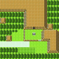 meteor-falls:  Route 33, Johto Region