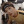 wingwang-jacksonwang:  “I have never thought about it (the death of a member) but