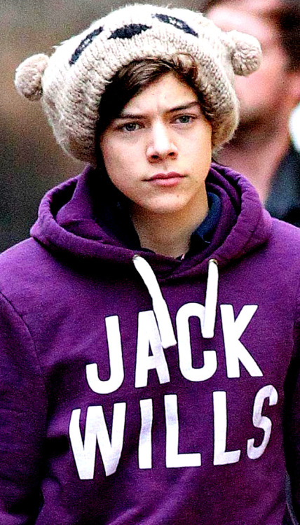larrygang-ordie:  stopithazza:  Harry Styles Beanie Appreciation (part one)   his bear one tho omg 