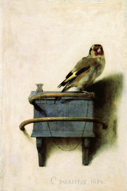 museumaddictsanonymous:  Carel Fabritius, The Goldfinch, 1654 