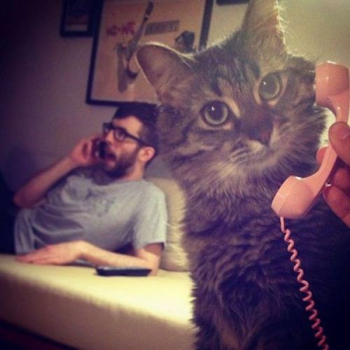 laughingstation:  via laughingstation 