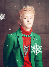 fqzpocky:  all i want for christmas is you 