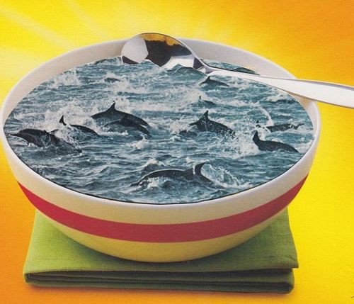 josephwebb:Breakfast #joewebb #collage #breakfast #sea