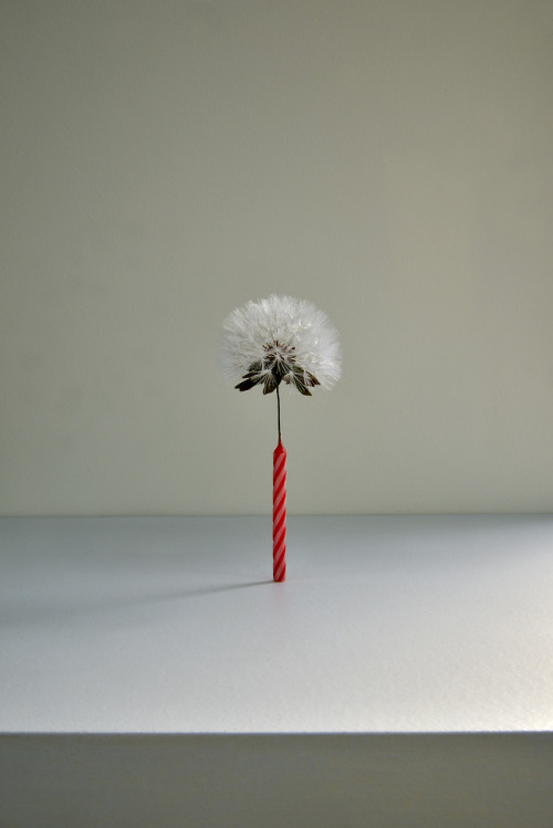 itscolossal:Subversion of the Everyday: Artist MyeongBeom Kim Reinterprets Common Objects in Delight